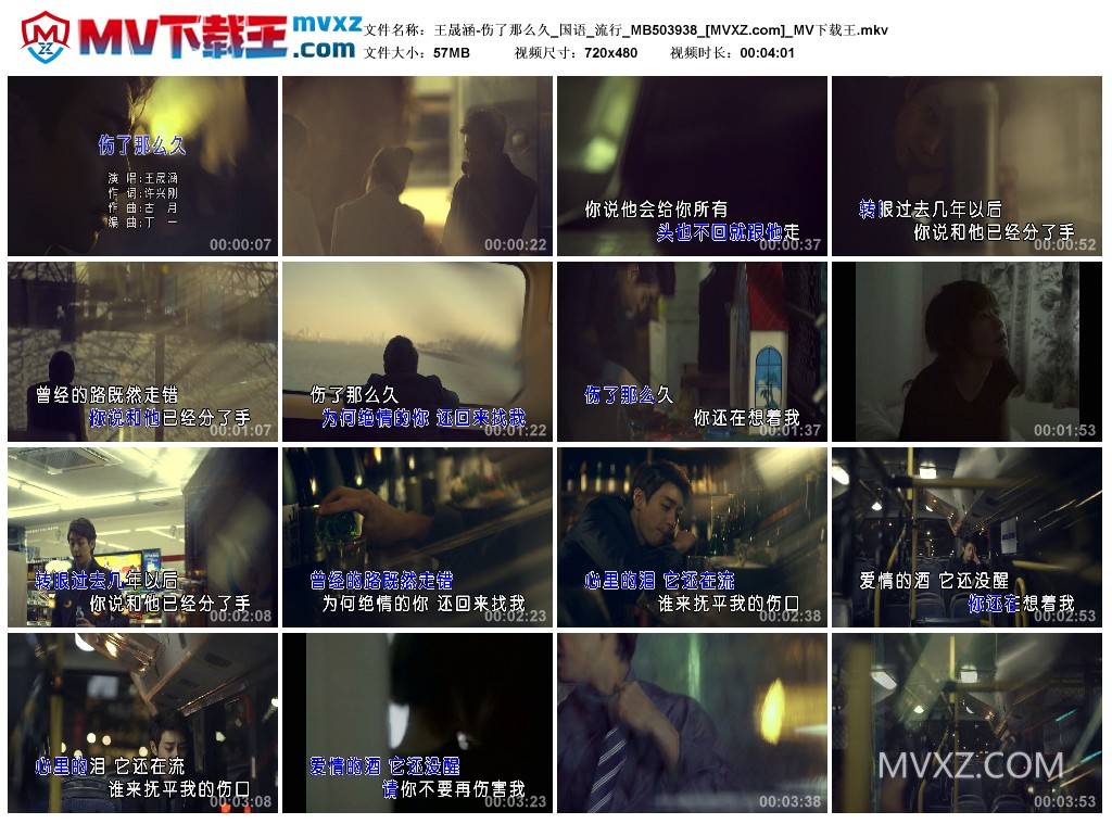 王晟涵-伤了那么久_国语_流行_MB503938